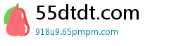 55dtdt.com